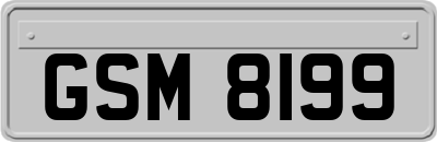 GSM8199