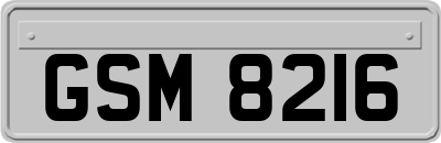 GSM8216