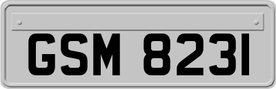 GSM8231