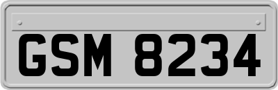 GSM8234