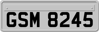 GSM8245
