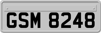 GSM8248