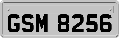 GSM8256