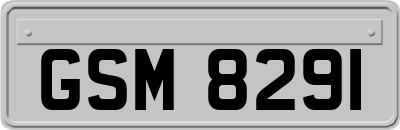 GSM8291