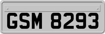 GSM8293
