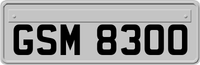 GSM8300