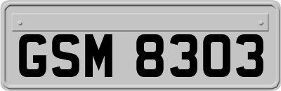 GSM8303