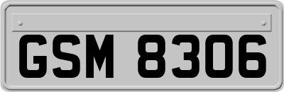 GSM8306