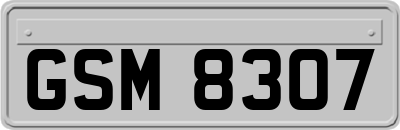 GSM8307