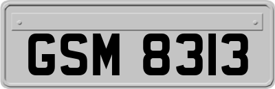 GSM8313