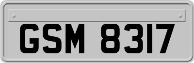 GSM8317