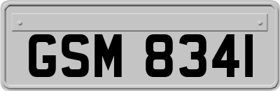 GSM8341