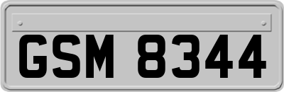 GSM8344