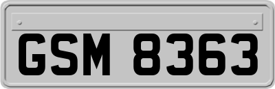 GSM8363
