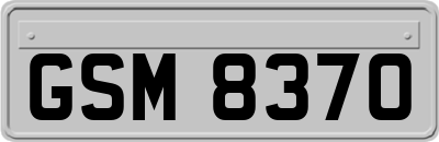 GSM8370