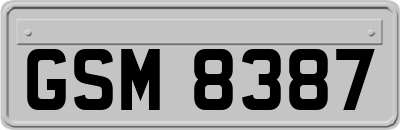 GSM8387