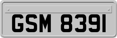 GSM8391
