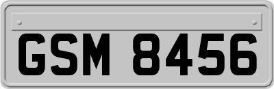 GSM8456