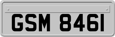 GSM8461