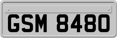 GSM8480