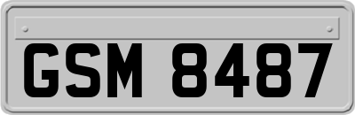 GSM8487