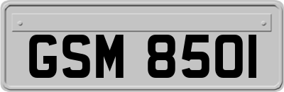 GSM8501