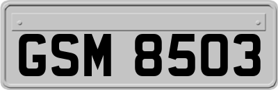 GSM8503