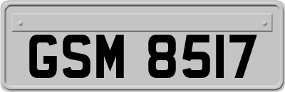 GSM8517