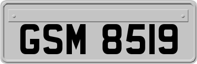 GSM8519