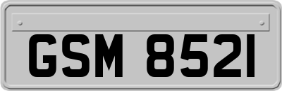 GSM8521