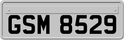 GSM8529
