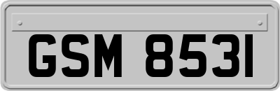GSM8531