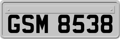 GSM8538