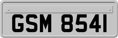 GSM8541