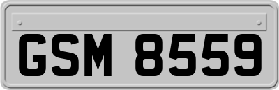 GSM8559