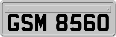 GSM8560