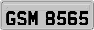GSM8565