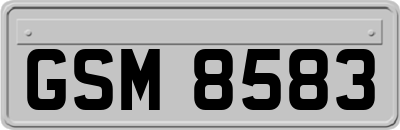 GSM8583