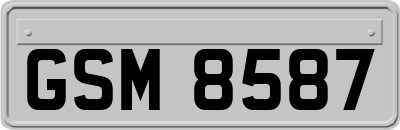 GSM8587