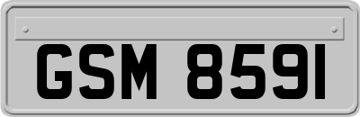 GSM8591