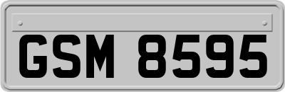 GSM8595