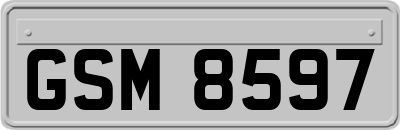 GSM8597