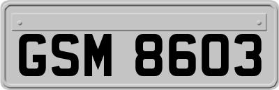 GSM8603