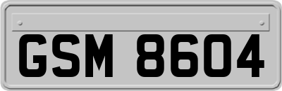 GSM8604