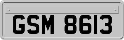 GSM8613