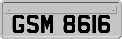 GSM8616