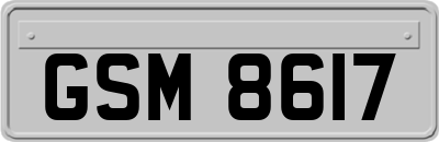 GSM8617