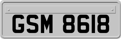 GSM8618
