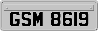 GSM8619