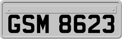 GSM8623